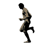 runner.gif (30610 byte)