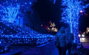 7_Christmas-Lights-Cannoli-Tour_V1_460x285