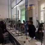 Erasmus Attività di laboratorio 1