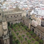 Siviglia..vista cattedrale dalla torre1