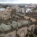 Siviglia.vista cattedrale dalla torre.1