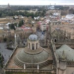 Siviglia.vista cattedrale dalla torre1