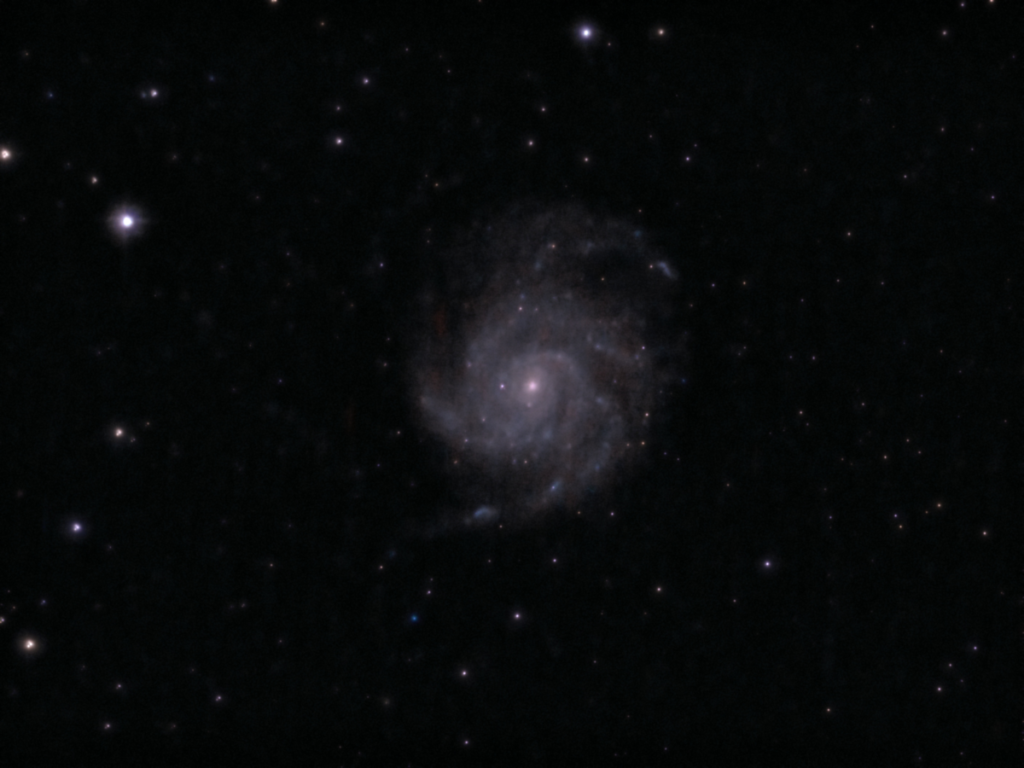 05b Galassia girandola M101
