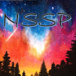 NSSP Non Sparate Sul Pianista