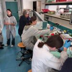 Laboratorio estrazione DNA DISAFA 02