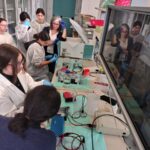 Laboratorio estrazione DNA DISAFA 06