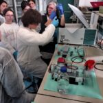 Laboratorio estrazione DNA DISAFA 08