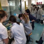 Laboratorio estrazione DNA DISAFA 10