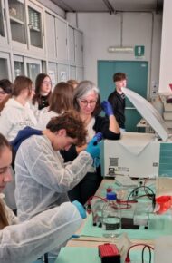 Laboratorio estrazione DNA DISAFA