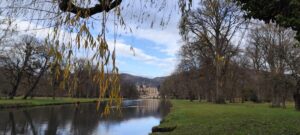 IMG 20251120 114731